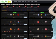 Bóng Đá Trực Tuyến: Your Ultimate Platform for Soi Kèo and Live Football Real-Time Match Updates